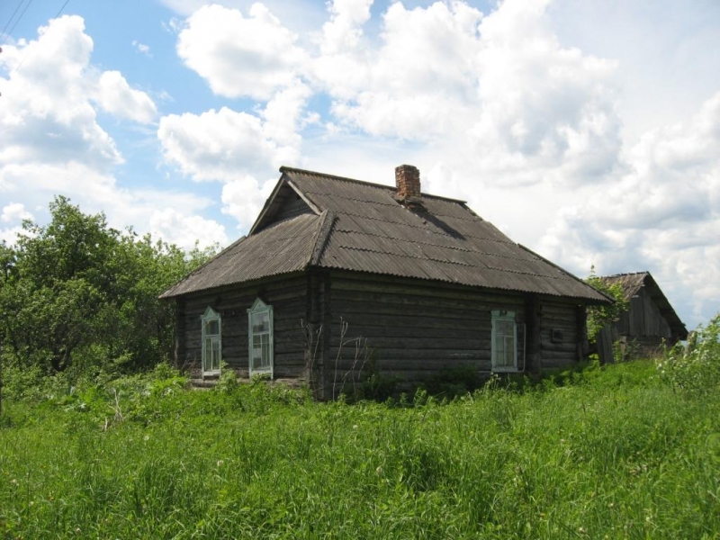 Дом в деревне Лукьяново
