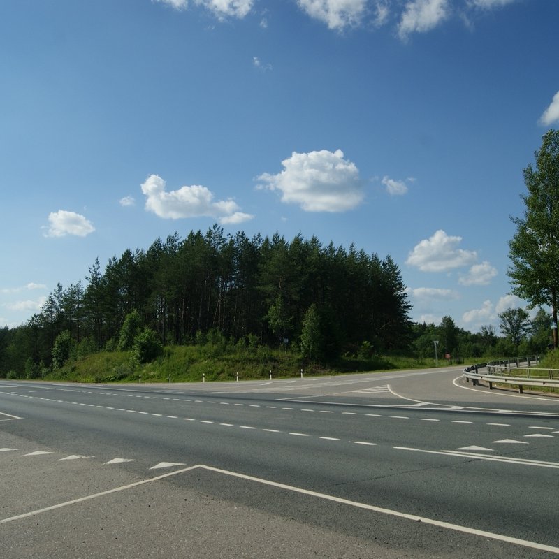 Участок в деревне Белица рядом с трассой М-9 Балтия