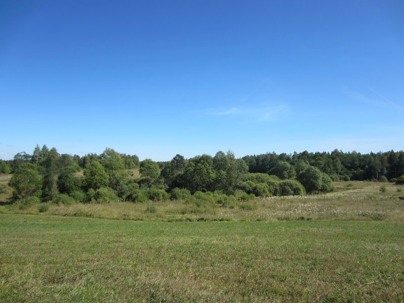 Земельный участок ИЖС в живописной деревне Баево недалеко от города Западная Двина